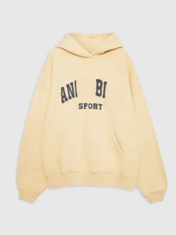 Velvet Embroidery Sweatshirt Women 2023 Autumn Winter Loose Sweatshirt Hoodies Female Fashion Hooded Pullovers Sweatshirts Tops - Image 2