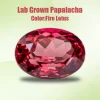 Lab Grown Sapphire Fire Lotus Color Oval Cut Papalacha Gemstone for Advanced Jewelry Making Materials Selectable AGL Certificate