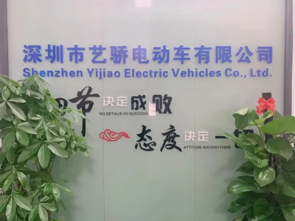 China Best Electric Mountain Bike 2023 Uk Electric Bicycle 1000w Mountain - Image 17