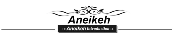 Aneikeh Spring/Autumn Fashion Sexy Women Shoes Elegant String Bead Crystal Patchwork Slip-On 35-42 Thin Heels Slipper NEW 2025 - Image 31