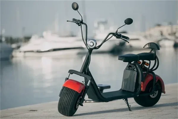 Fashion Electric Tricycles Adult 1500W Double Seat 3 Wheel Electric Scooters - Image 15