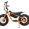 Factory special High quality 48V 1000W 15AH dirt bike cabinet balance for teenagers 16 inch fat tire snow MTB electric bicycle - Image 8