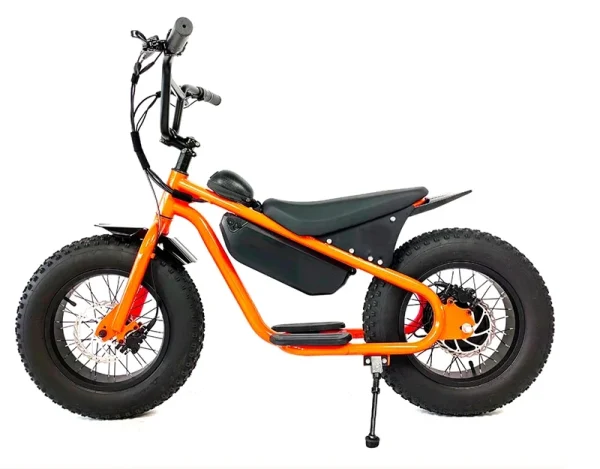 Factory special High quality 48V 1000W 15AH dirt bike cabinet balance for teenagers 16 inch fat tire snow MTB electric bicycle - Image 8