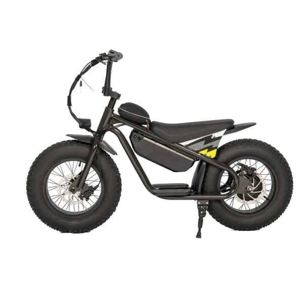 Factory special High quality 48V 1000W 15AH dirt bike cabinet balance for teenagers 16 inch fat tire snow MTB electric bicycle - Image 13