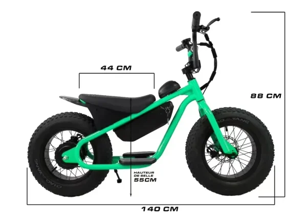 Factory special High quality 48V 1000W 15AH dirt bike cabinet balance for teenagers 16 inch fat tire snow MTB electric bicycle - Image 18