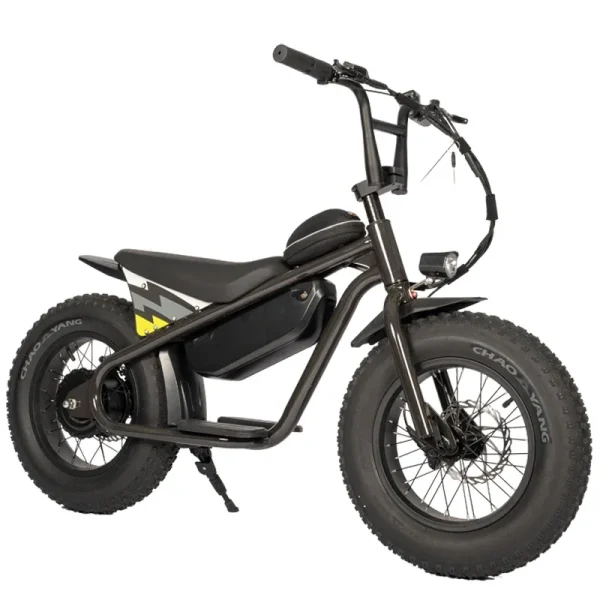 Factory special High quality 48V 1000W 15AH dirt bike cabinet balance for teenagers 16 inch fat tire snow MTB electric bicycle - Image 5