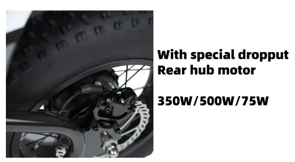 Factory special High quality 48V 1000W 15AH dirt bike cabinet balance for teenagers 16 inch fat tire snow MTB electric bicycle - Image 17