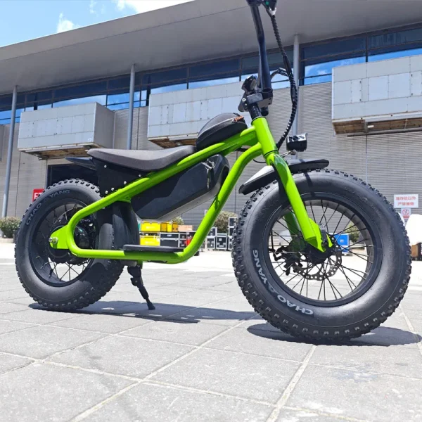 Factory special High quality 48V 1000W 15AH dirt bike cabinet balance for teenagers 16 inch fat tire snow MTB electric bicycle - Image 12