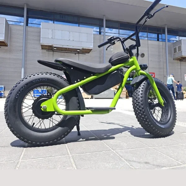 Factory special High quality 48V 1000W 15AH dirt bike cabinet balance for teenagers 16 inch fat tire snow MTB electric bicycle - Image 2