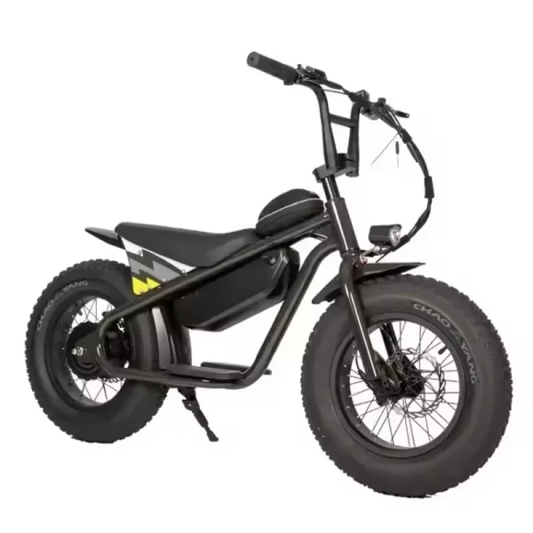 Factory special High quality 48V 1000W 15AH dirt bike cabinet balance for teenagers 16 inch fat tire snow MTB electric bicycle - Image 9