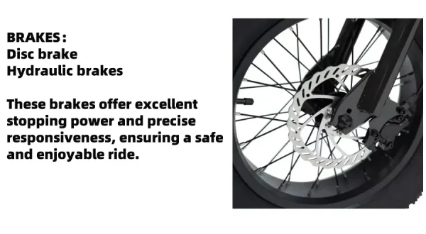 Factory special High quality 48V 1000W 15AH dirt bike cabinet balance for teenagers 16 inch fat tire snow MTB electric bicycle - Image 16