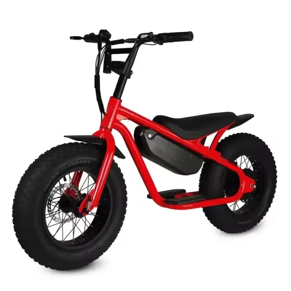 Factory special High quality 48V 1000W 15AH dirt bike cabinet balance for teenagers 16 inch fat tire snow MTB electric bicycle - Image 7