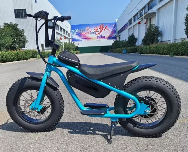 Factory special High quality 48V 1000W 15AH dirt bike cabinet balance for teenagers 16 inch fat tire snow MTB electric bicycle - Image 3