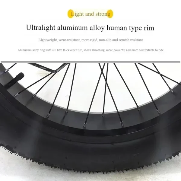 Tricyle Adult Electric Bicycle Adult 24 Inch 750W15AH Battery Fat Ebike 3Wheel Electric Cargo Bike Mobile Battery Cargo Electric - Image 4