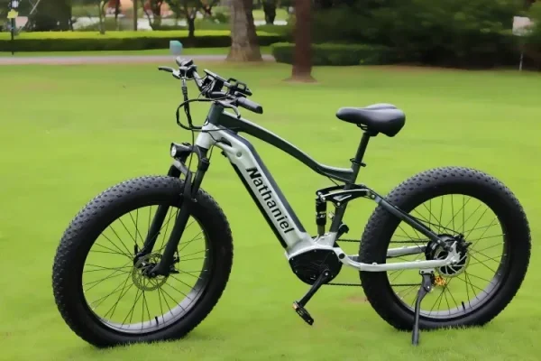 CHINA US 1000W Off-road Electric Bike 26 inch 4.0 Fat Tire Outdoor Sports Mountain Bike 20Ah Battery Adult Bike 40km/h ebike - Image 23