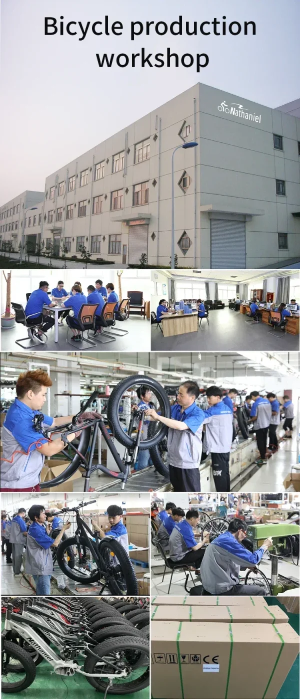 CHINA US 1000W Off-road Electric Bike 26 inch 4.0 Fat Tire Outdoor Sports Mountain Bike 20Ah Battery Adult Bike 40km/h ebike - Image 22