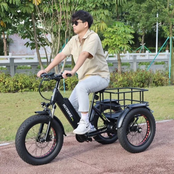 Factory Hot Sales Electric Tricycle 7 Speed Electric Bike 3 Wheels Ebike 48V Voltage 500W 750W Motor Electric Cargo Bike - Image 3