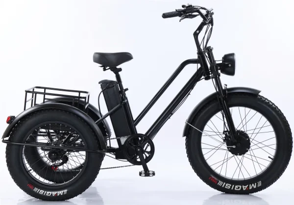 New Electric Tricycle 500W48V20AH Lithium battery Ebike Large Storage Basket Leisure Elderly Cargo Electric Bicycle Mileage 50KM - Image 11