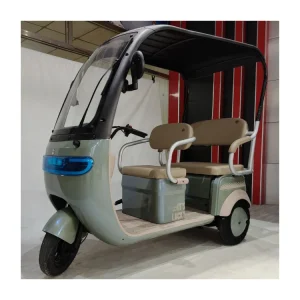 Factory Supply Leisure Moped Electric Scooter With 3 Wheels 800w 1000w 48v 60v Three-wheeled Electric Tricycle With Shed Battery