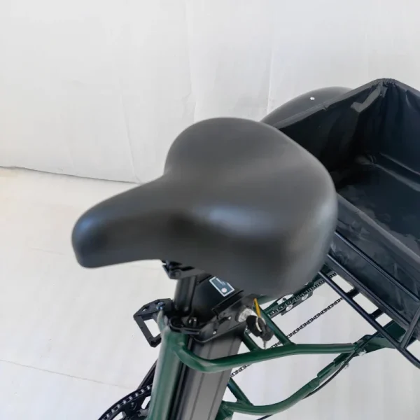 New 3-Wheeled Electric Vehicle 500W Motor 48V13AH Fat Tire Snow Cargo E-Bike Elderly Parent-Child Travel Electric 3-Wheeled Bike - Image 18