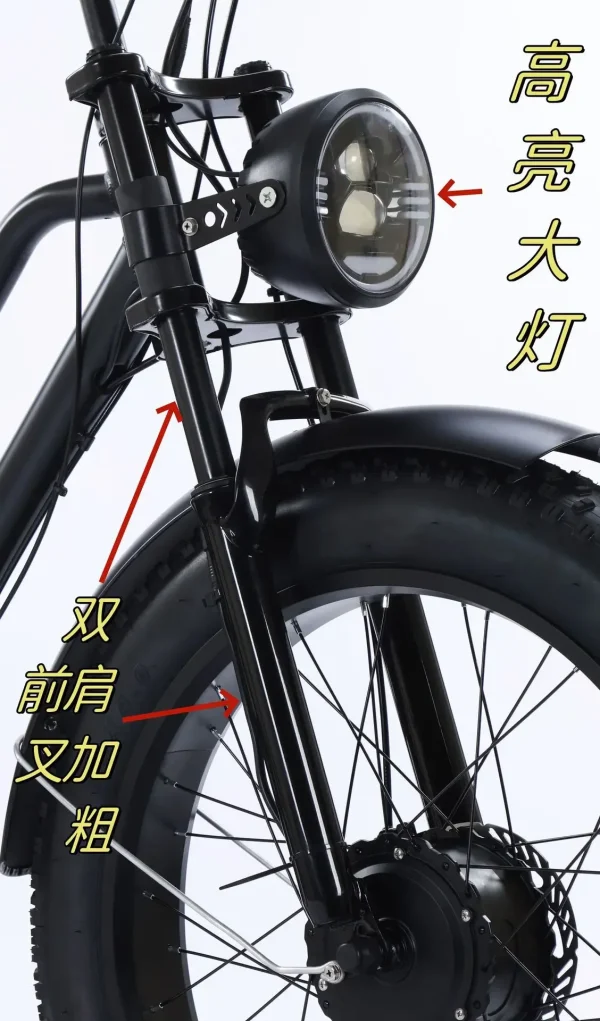 New Electric Tricycle 500W48V20AH Lithium battery Ebike Large Storage Basket Leisure Elderly Cargo Electric Bicycle Mileage 50KM - Image 13