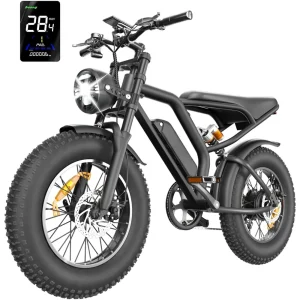 Electric Bike for Adults,20”x 4”Fat Tire Peak1500W Motor,7 Speed Electric Motorcycle Bicycle,48V15AH/13AH Battery 3 Riding Modes