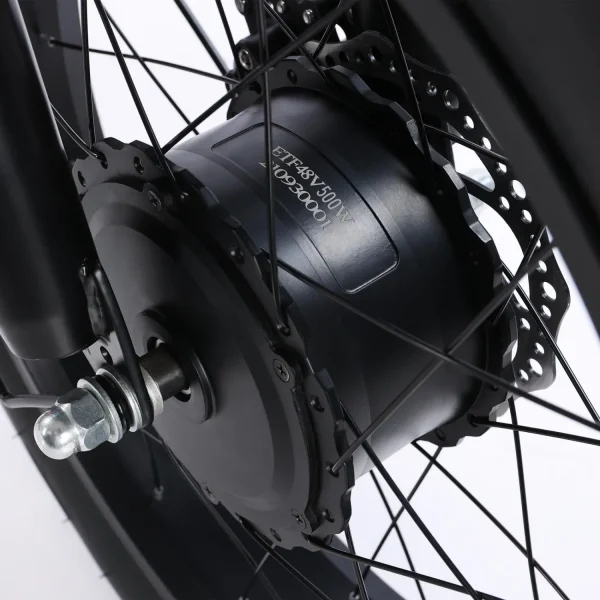 New Electric Tricycle 500W48V20AH Lithium battery Ebike Large Storage Basket Leisure Elderly Cargo Electric Bicycle Mileage 50KM - Image 23