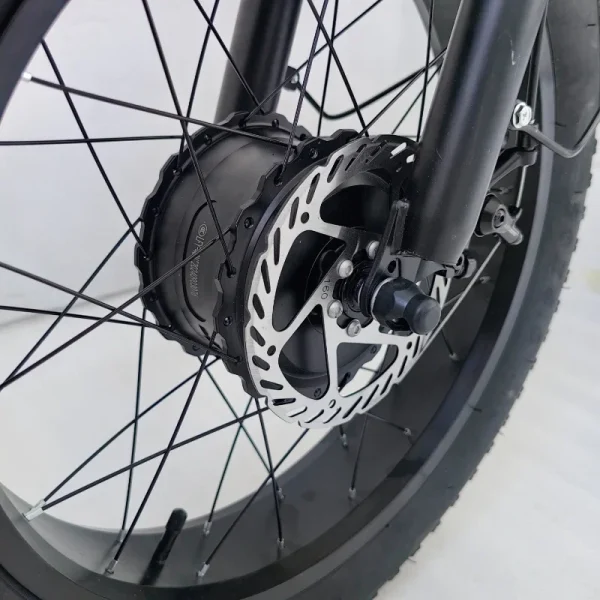 New 3-Wheeled Electric Vehicle 500W Motor 48V13AH Fat Tire Snow Cargo E-Bike Elderly Parent-Child Travel Electric 3-Wheeled Bike - Image 15