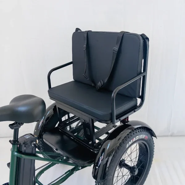 New 3-Wheeled Electric Vehicle 500W Motor 48V13AH Fat Tire Snow Cargo E-Bike Elderly Parent-Child Travel Electric 3-Wheeled Bike - Image 12