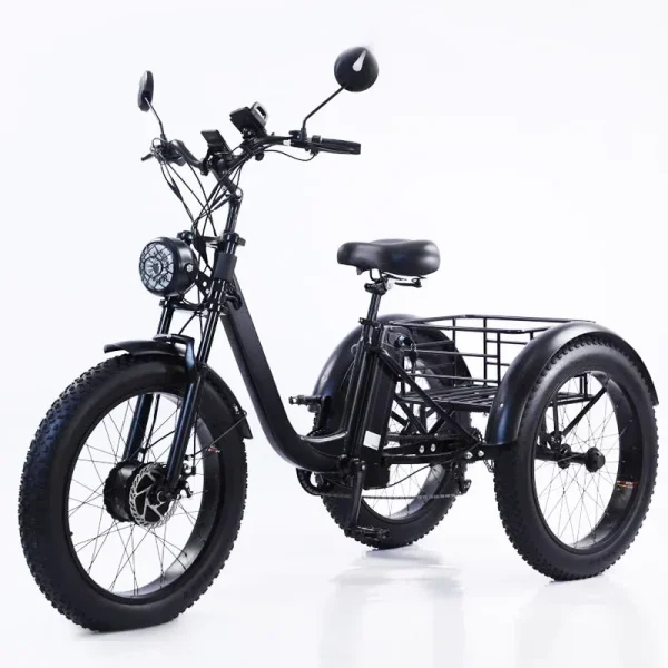 New Electric Tricyle Adult Ebike Cargo 24Inch Fat Tire 750W48V15AH Removable Battery Electric Bike 3Wheel Leisure Max Load 200KG - Image 9