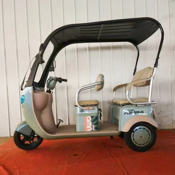Factory Supply Leisure Moped Electric Scooter With 3 Wheels 800w 1000w 48v 60v Three-wheeled Electric Tricycle With Shed Battery - Image 16