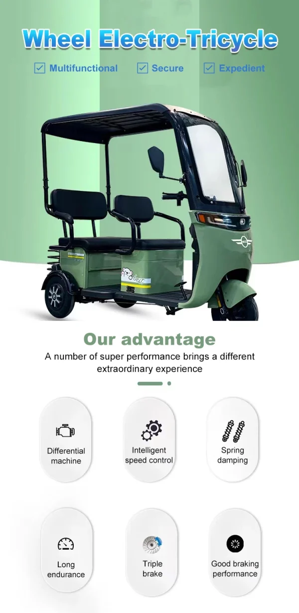 Factory Supply Leisure Moped Electric Scooter With 3 Wheels 800w 1000w 48v 60v Three-wheeled Electric Tricycle With Shed Battery - Image 9