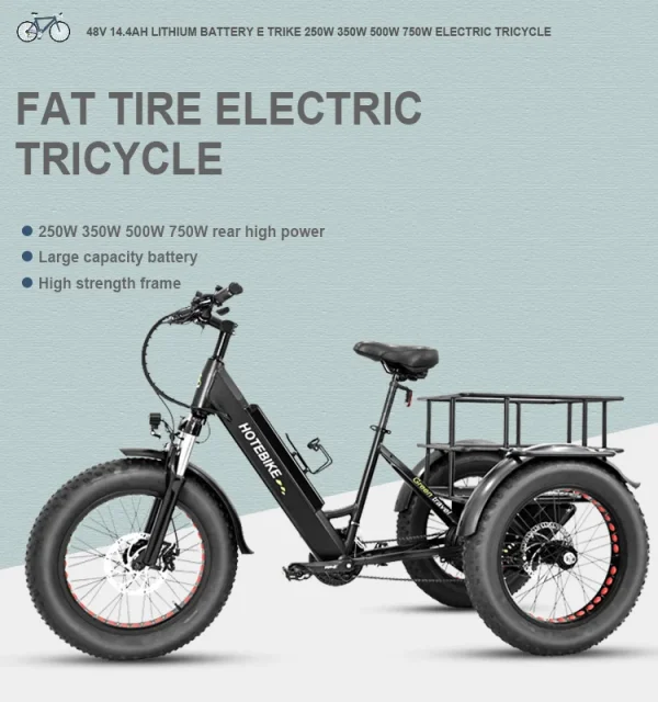 Factory Hot Sales Electric Tricycle 7 Speed Electric Bike 3 Wheels Ebike 48V Voltage 500W 750W Motor Electric Cargo Bike - Image 8