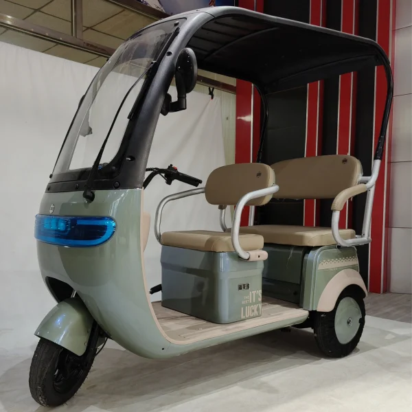 Factory Supply Leisure Moped Electric Scooter With 3 Wheels 800w 1000w 48v 60v Three-wheeled Electric Tricycle With Shed Battery - Image 8