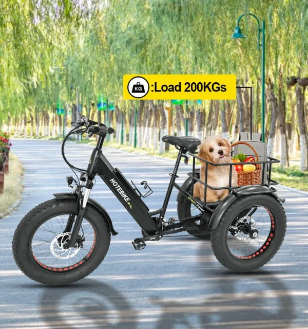 Factory Hot Sales Electric Tricycle 7 Speed Electric Bike 3 Wheels Ebike 48V Voltage 500W 750W Motor Electric Cargo Bike - Image 12