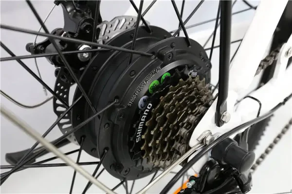20225 Electric Passenger Tricycle 20"*4.0 Fat Tire Scooter Electric Tricycle 500w Ebike Bike Electric Bicycle Mountainbike - Image 3