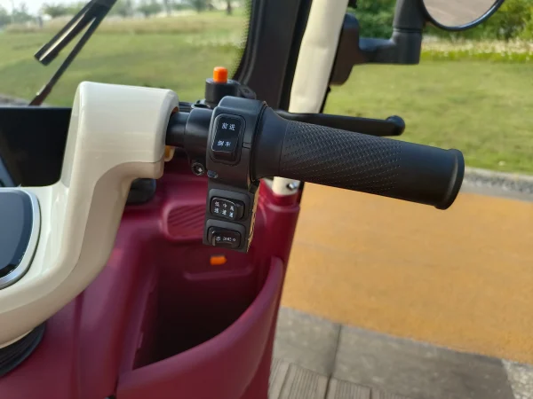 2025 Hot Selling Electric Tricycle for Family Use Open Body Rickshaw with Roof for Passenger and Cargo for Adults - Image 14