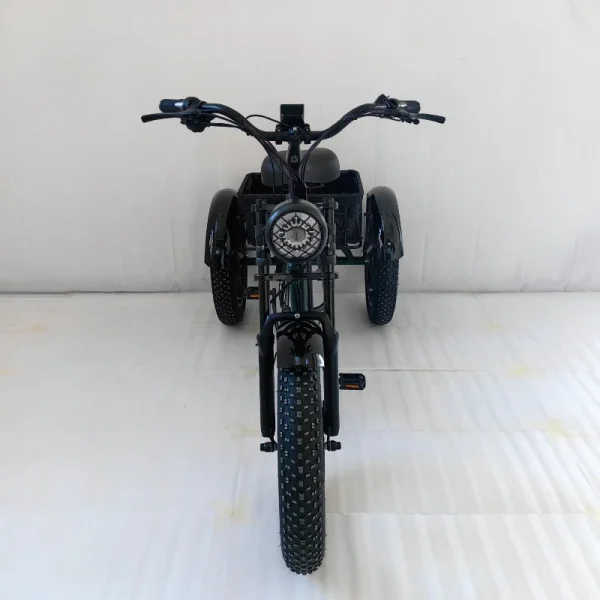 New 3-Wheeled Electric Vehicle 500W Motor 48V13AH Fat Tire Snow Cargo E-Bike Elderly Parent-Child Travel Electric 3-Wheeled Bike - Image 11