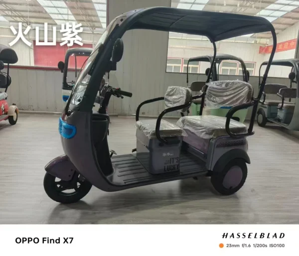 Factory Supply Leisure Moped Electric Scooter With 3 Wheels 800w 1000w 48v 60v Three-wheeled Electric Tricycle With Shed Battery - Image 17