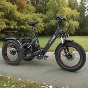 Factory Hot Sales Electric Tricycle 7 Speed Electric Bike 3 Wheels Ebike 48V Voltage 500W 750W Motor Electric Cargo Bike