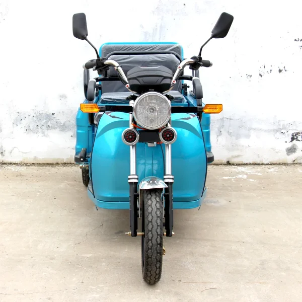 2024 Hot Selling Good Price China Adult Electric Tricycle Cargo - Image 9