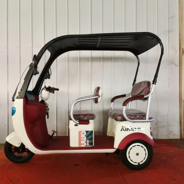 Factory Supply Leisure Moped Electric Scooter With 3 Wheels 800w 1000w 48v 60v Three-wheeled Electric Tricycle With Shed Battery - Image 4