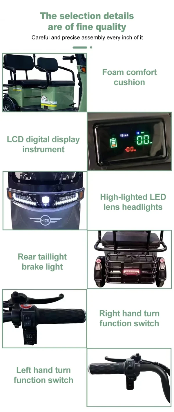 Factory Supply Leisure Moped Electric Scooter With 3 Wheels 800w 1000w 48v 60v Three-wheeled Electric Tricycle With Shed Battery - Image 14