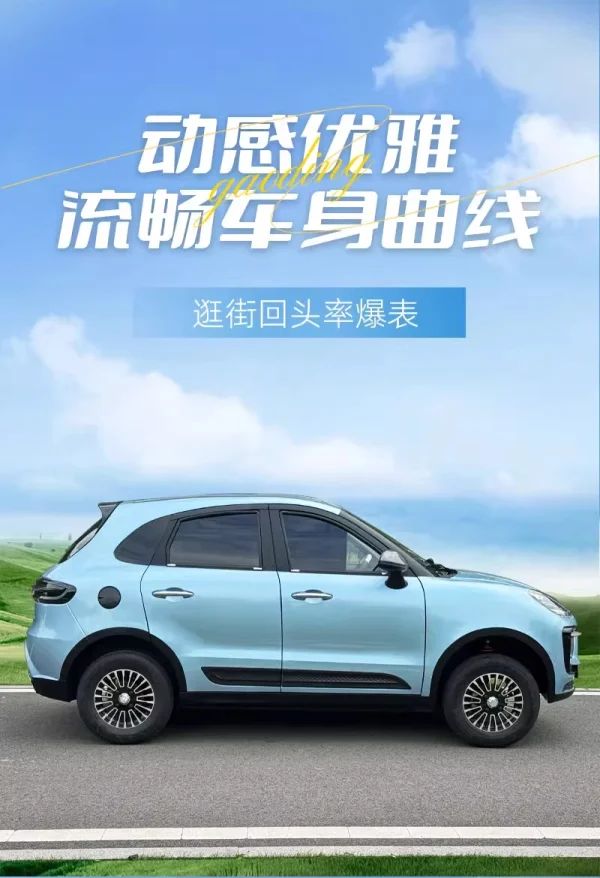 Old Man Le, electric four-wheeler, scooter, closed four-wheel battery car - Image 14