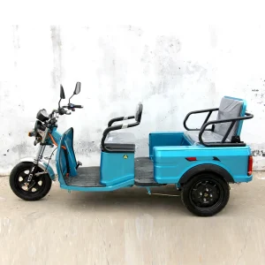 2024 Hot Selling Good Price China Adult Electric Tricycle Cargo