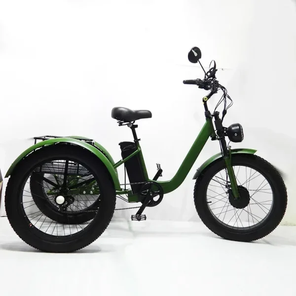 New Electric Tricyle Adult Ebike Cargo 24Inch Fat Tire 750W48V15AH Removable Battery Electric Bike 3Wheel Leisure Max Load 200KG - Image 5