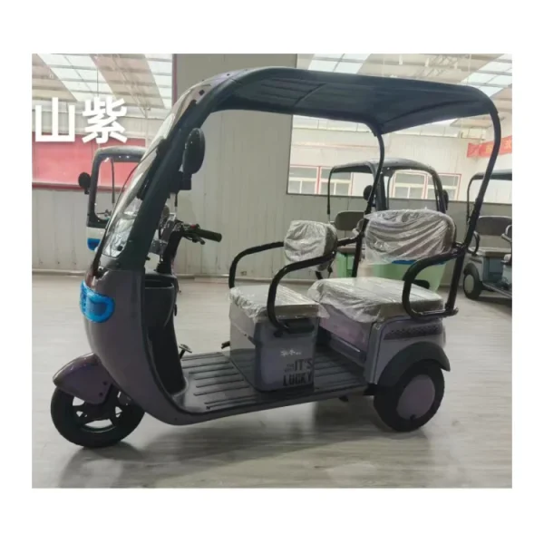 Factory Supply Leisure Moped Electric Scooter With 3 Wheels 800w 1000w 48v 60v Three-wheeled Electric Tricycle With Shed Battery - Image 7