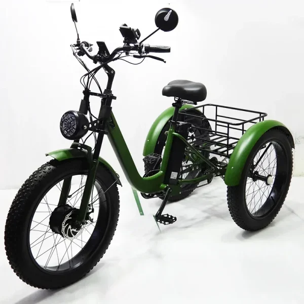 New Electric Tricyle Adult Ebike Cargo 24Inch Fat Tire 750W48V15AH Removable Battery Electric Bike 3Wheel Leisure Max Load 200KG - Image 10