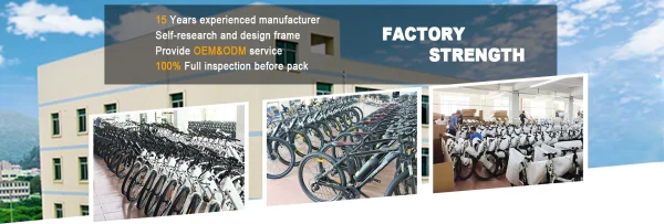 Factory Hot Sales Electric Tricycle 7 Speed Electric Bike 3 Wheels Ebike 48V Voltage 500W 750W Motor Electric Cargo Bike - Image 17