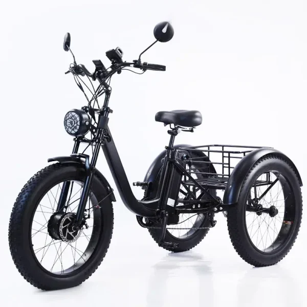 New Electric Tricyle Adult Ebike Cargo 24Inch Fat Tire 750W48V15AH Removable Battery Electric Bike 3Wheel Leisure Max Load 200KG - Image 3